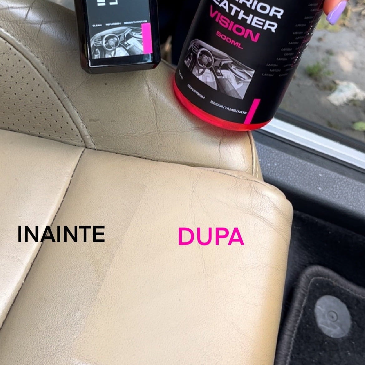 KIT Larem Care ( Prosop Twist Loop + Interior Vision 500ml )